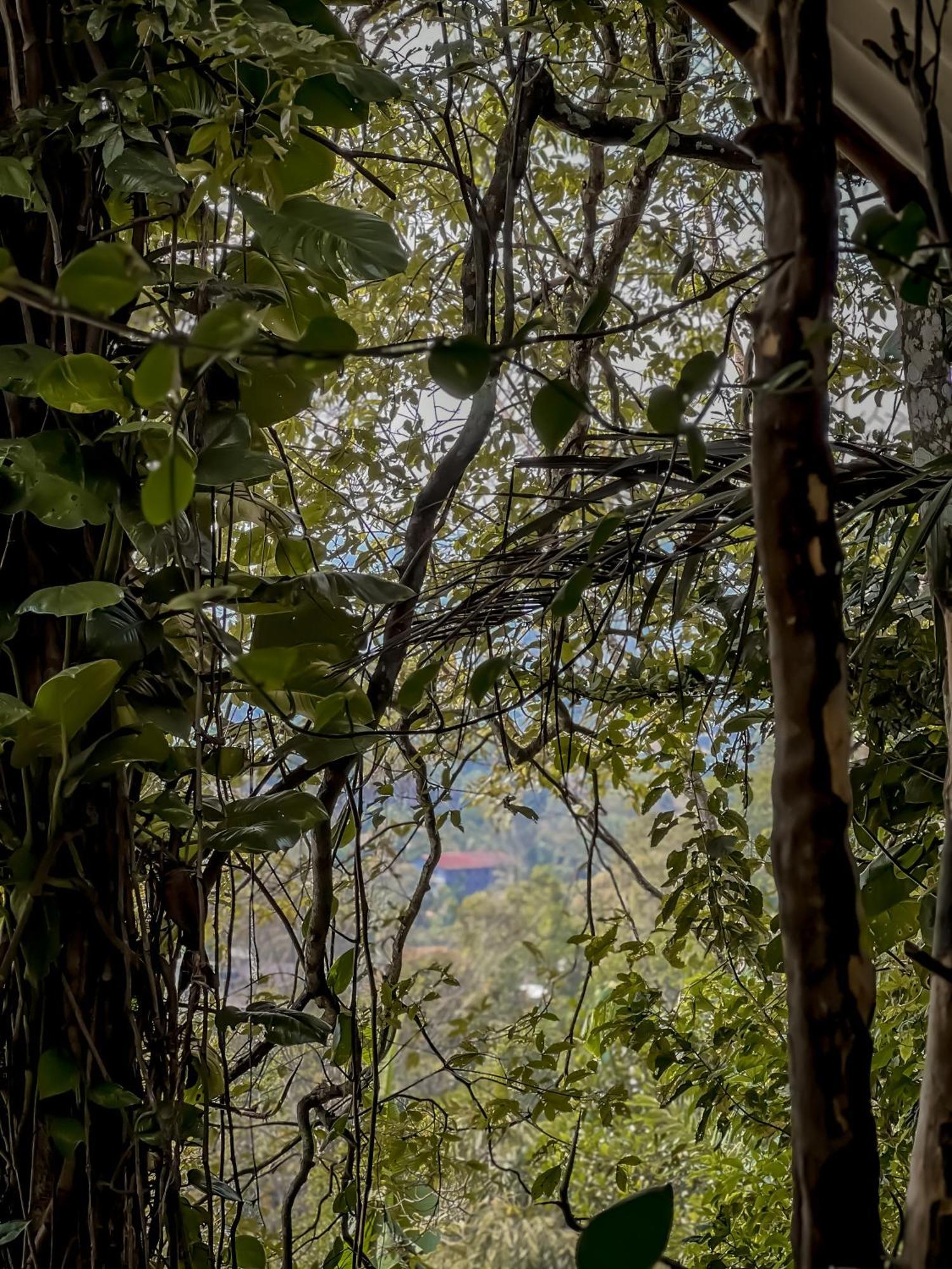 Secret Mountain Paradise Ella Exteriör bild